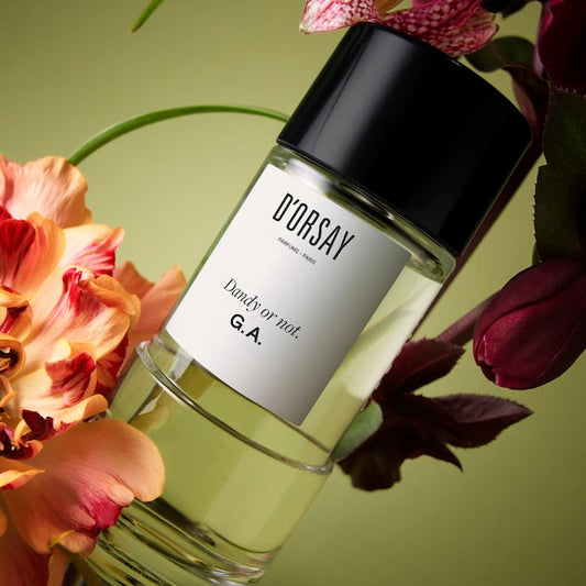 Dandy or not D'Orsay G.A. - Eau de parfum unisexe boisée cuirée de luxe