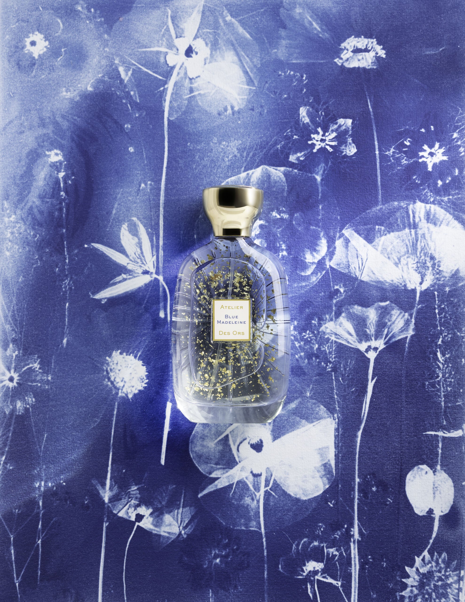 Blue Madeleine