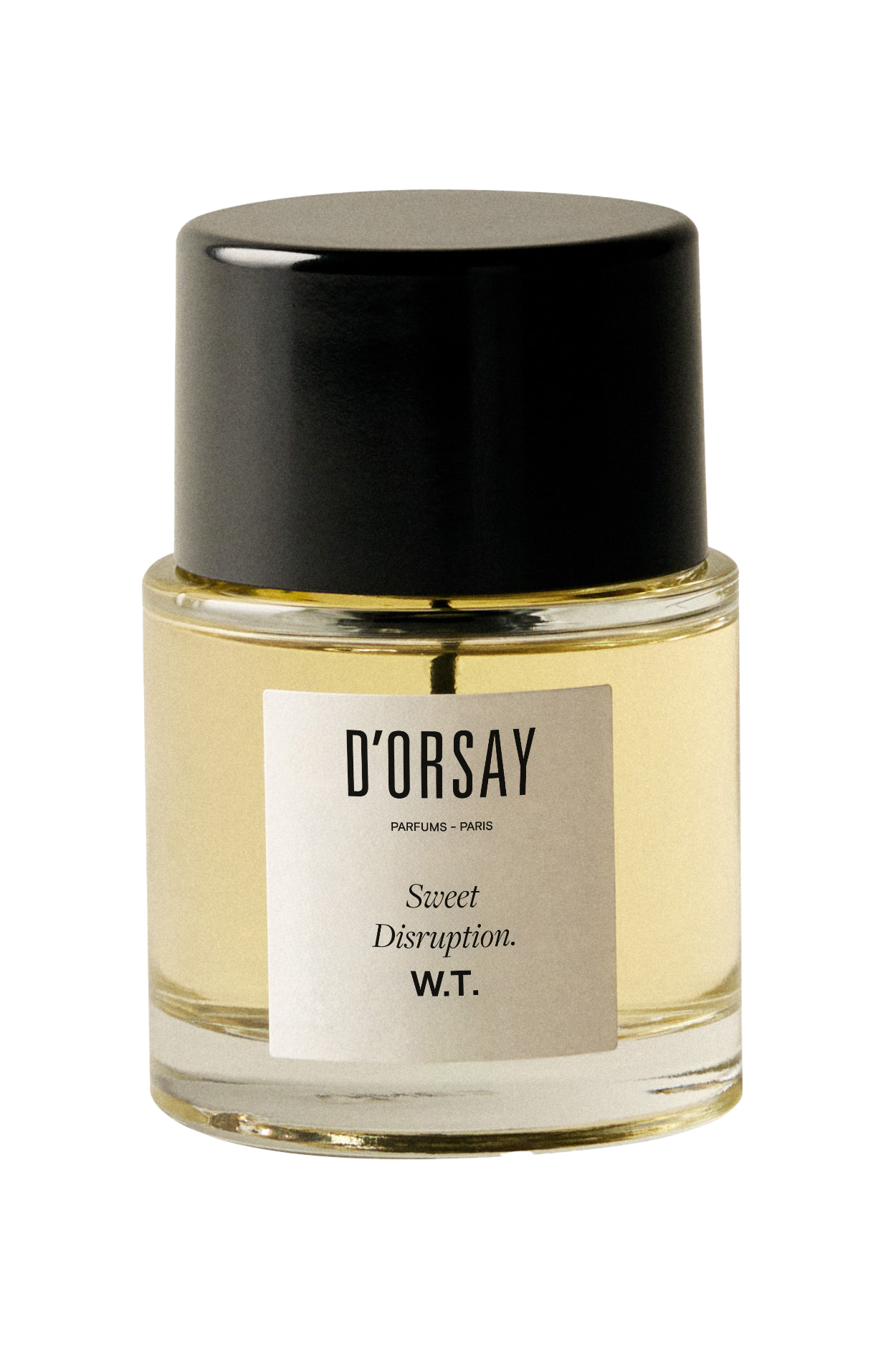 Sweet Disruption W.T D'Orsay 5