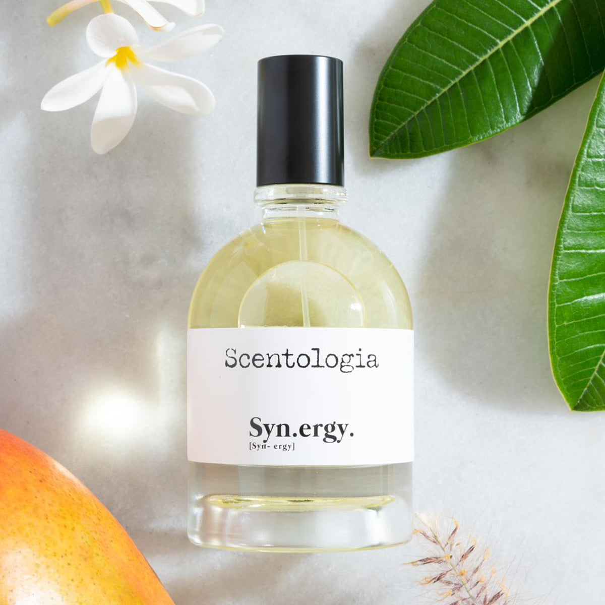 Syn.ergy. – Scentologia · vue 4
