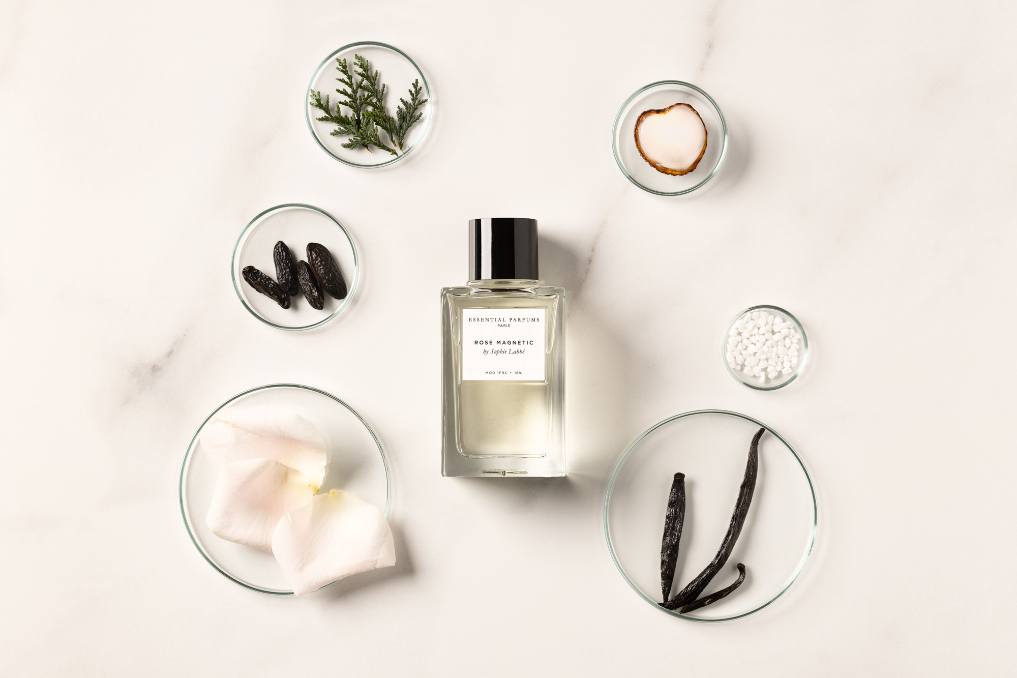 Rose Magnétic by Sophie Labbé – Image 4