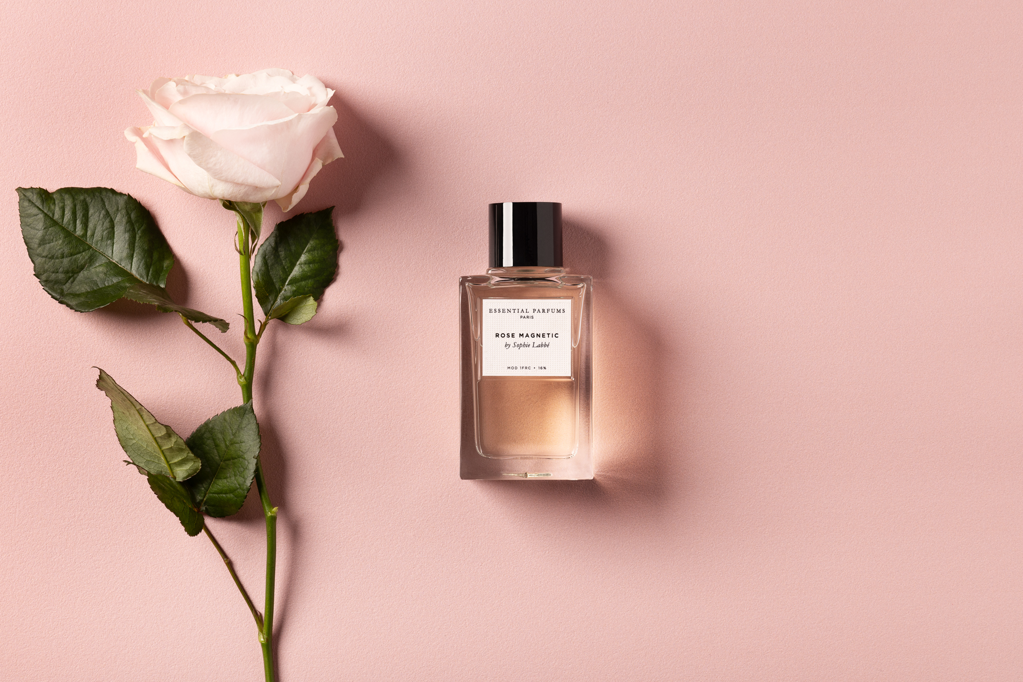 Rose Magnétic by Sophie Labbé – Image 6