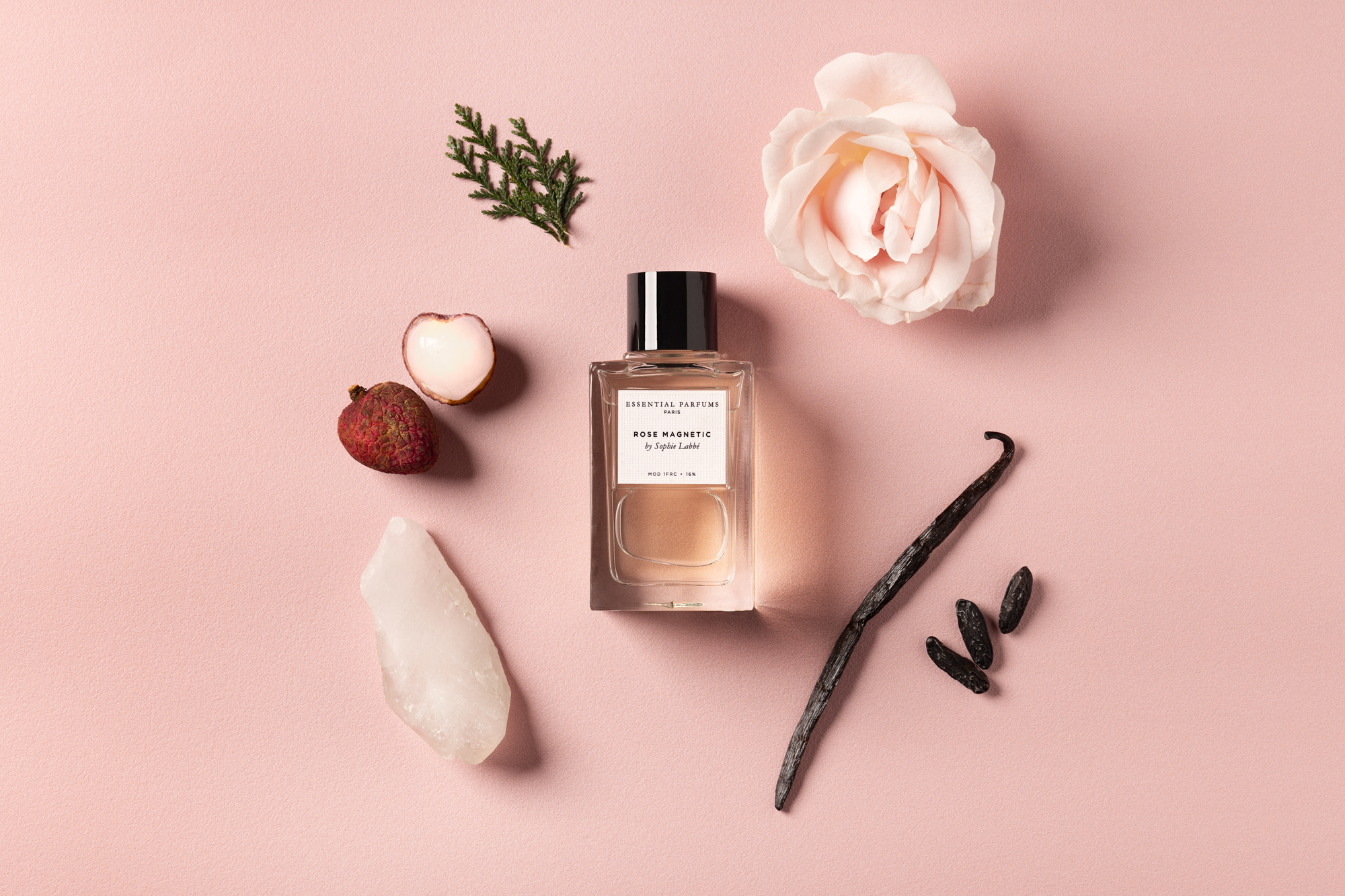 Rose Magnétic by Sophie Labbé – Image 7