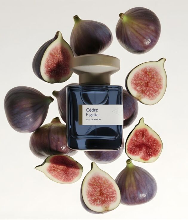 Cèdre Figalia