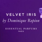 Ces Fragrances de Niche qui ont conquis les jurys